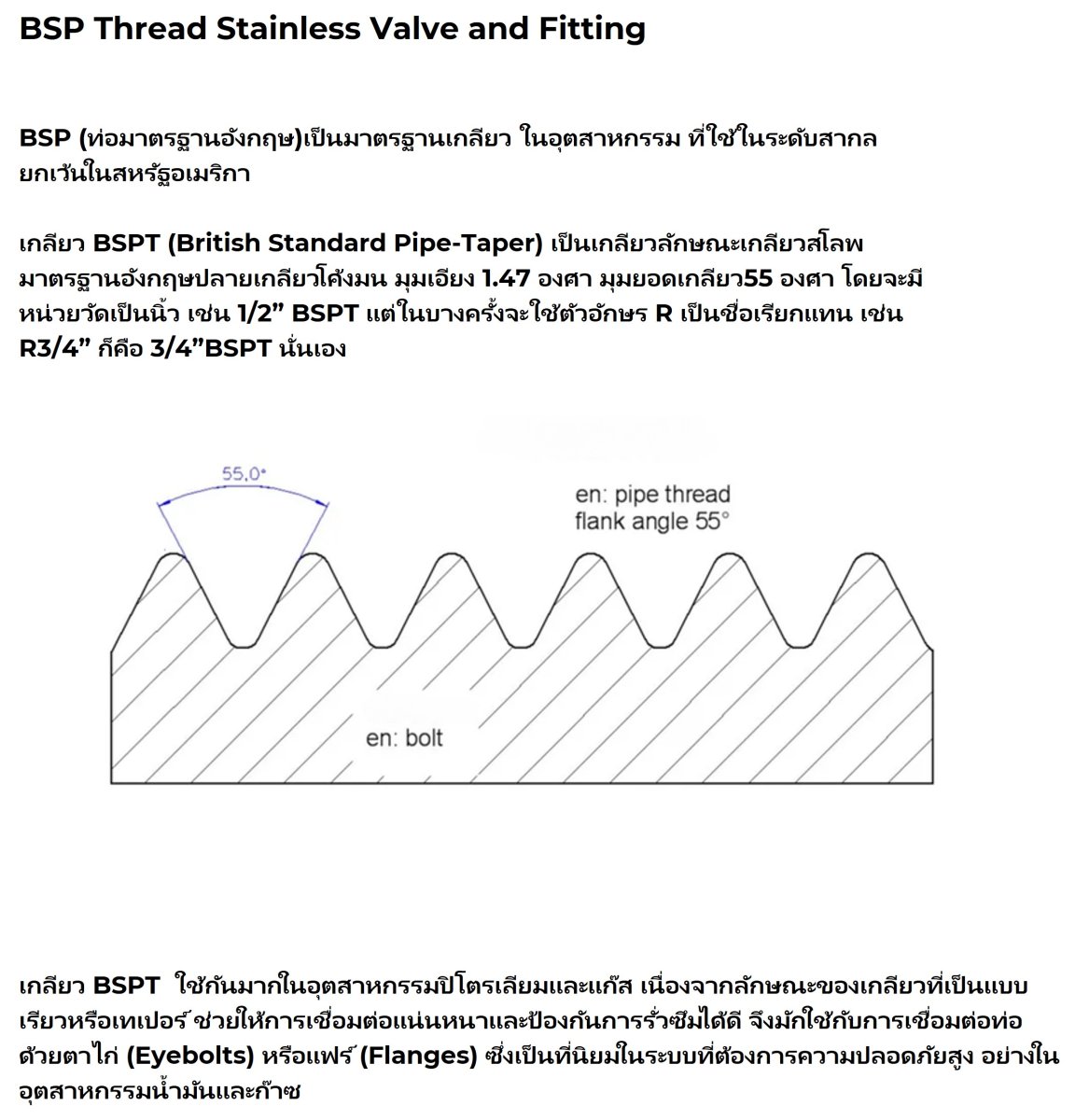 BSP Thread Stainless Valve and Fitting.jpg